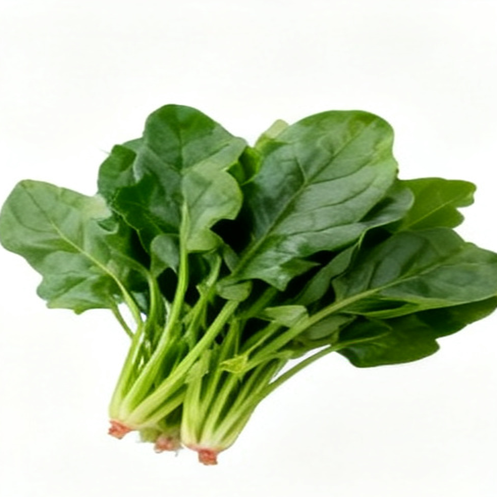 菠菜